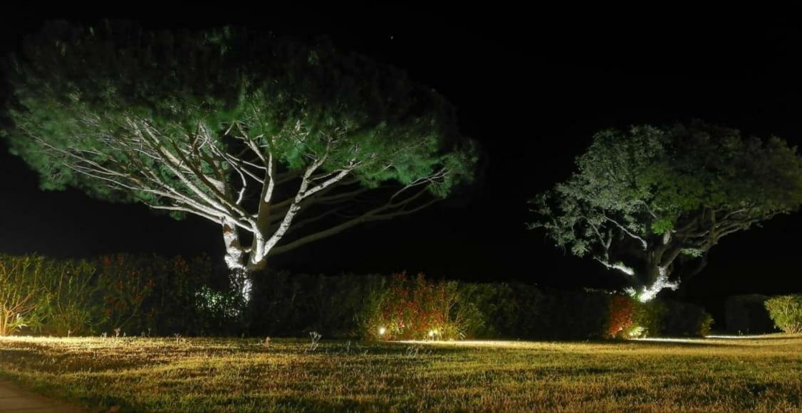 Alba Frühstückspension Saint-Tropez
